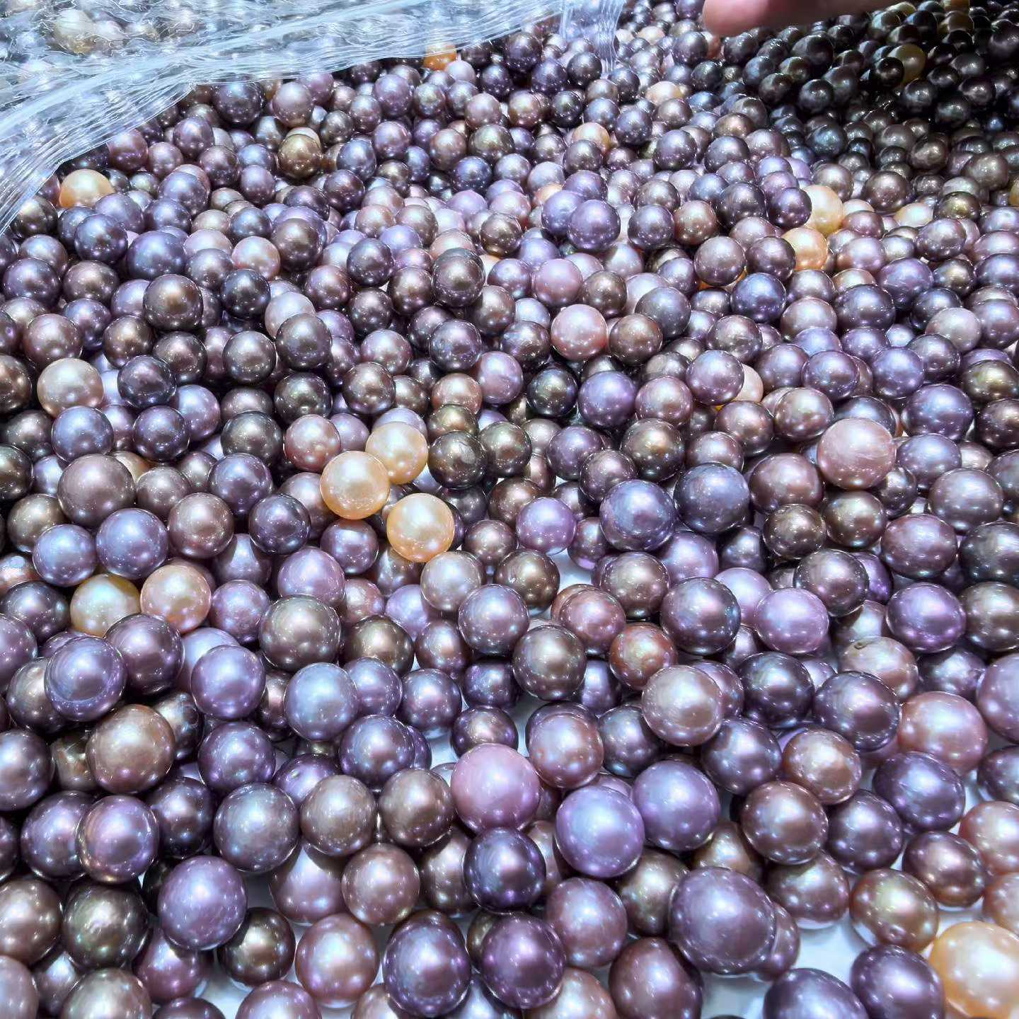 钛钢项链 集合链接 下单后客服拍图【耳饰。单珠。吊坠】(多样性发一）