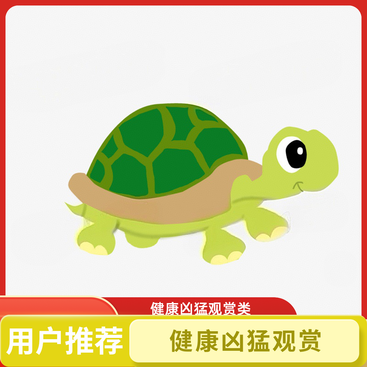 人工养殖观赏乌龟直播挑选活体宠物龟