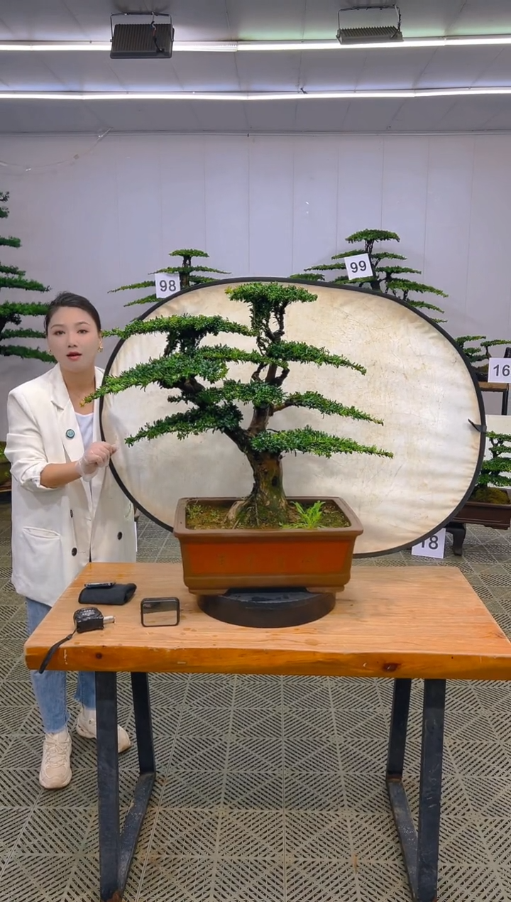 无花朵一物一拍一物一拍