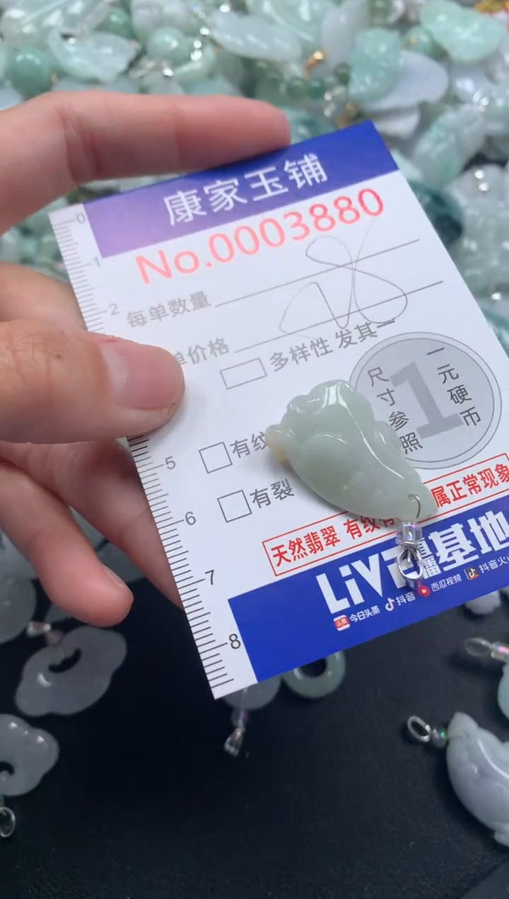 颈饰未镶嵌翡翠38801