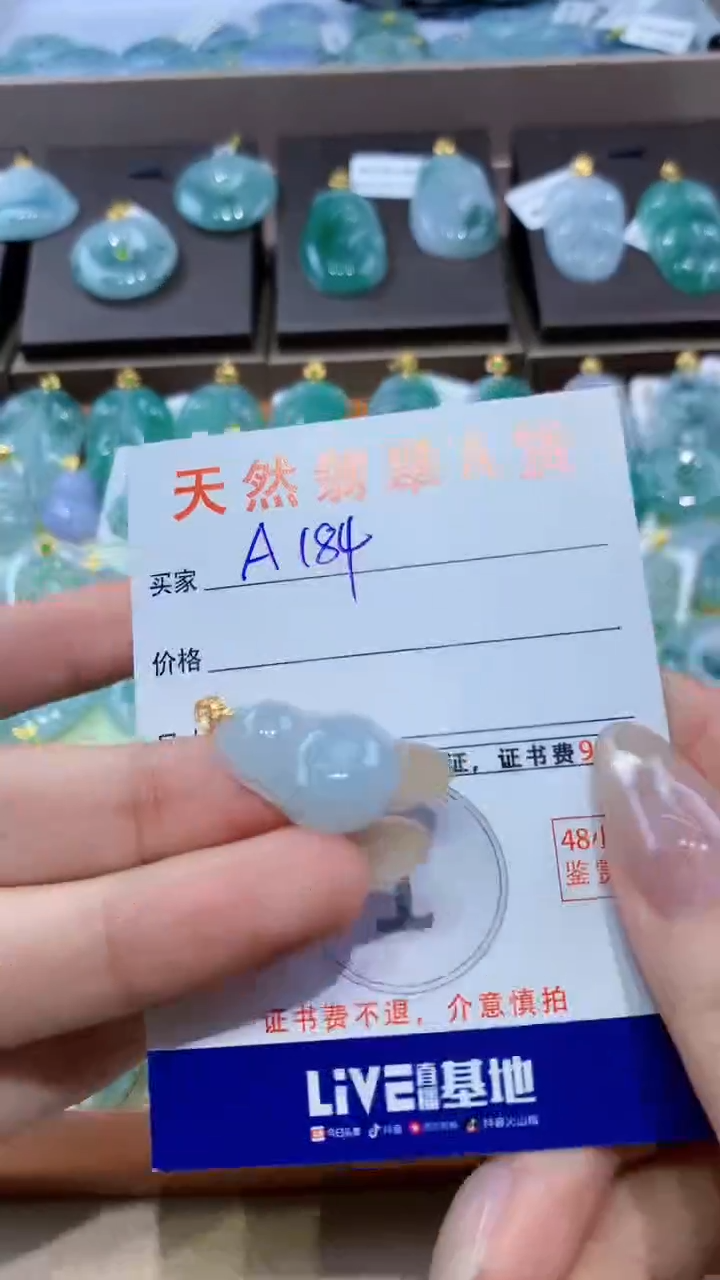 颈饰未镶嵌翡翠 天然翡翠A货挂件