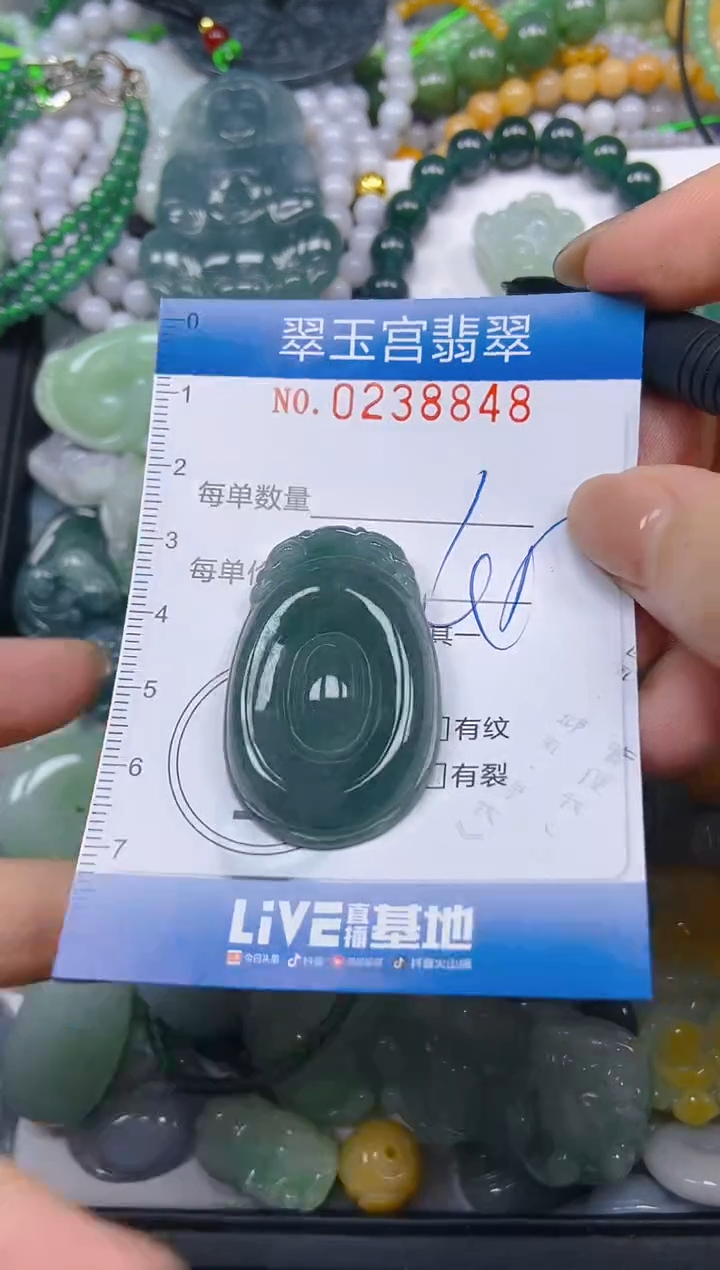 颈饰未镶嵌翡翠闪购C0238848