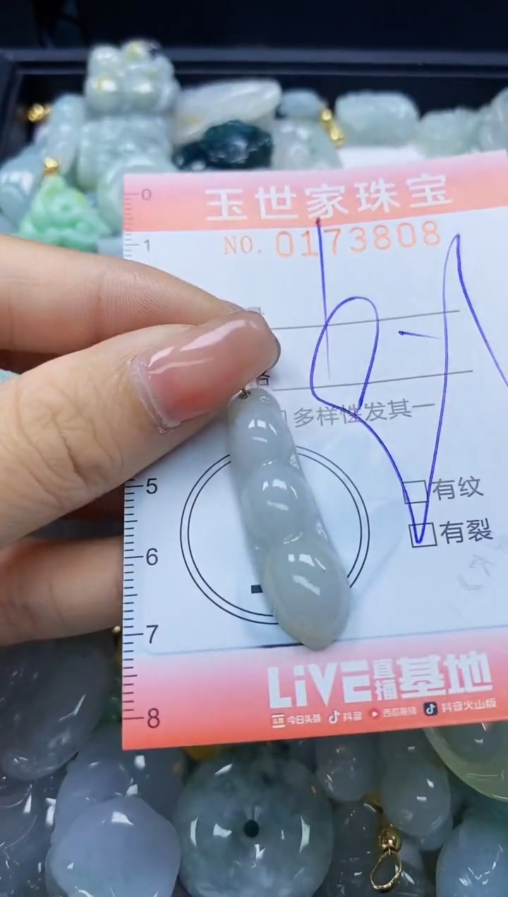 【闪购商品】翡翠颈饰未镶嵌闪购0173808