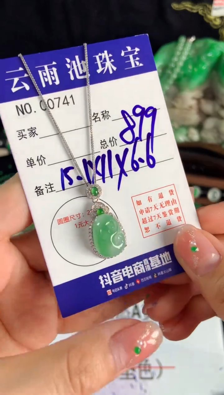 【闪购商品】翡翠颈饰银S925镶嵌翡翠