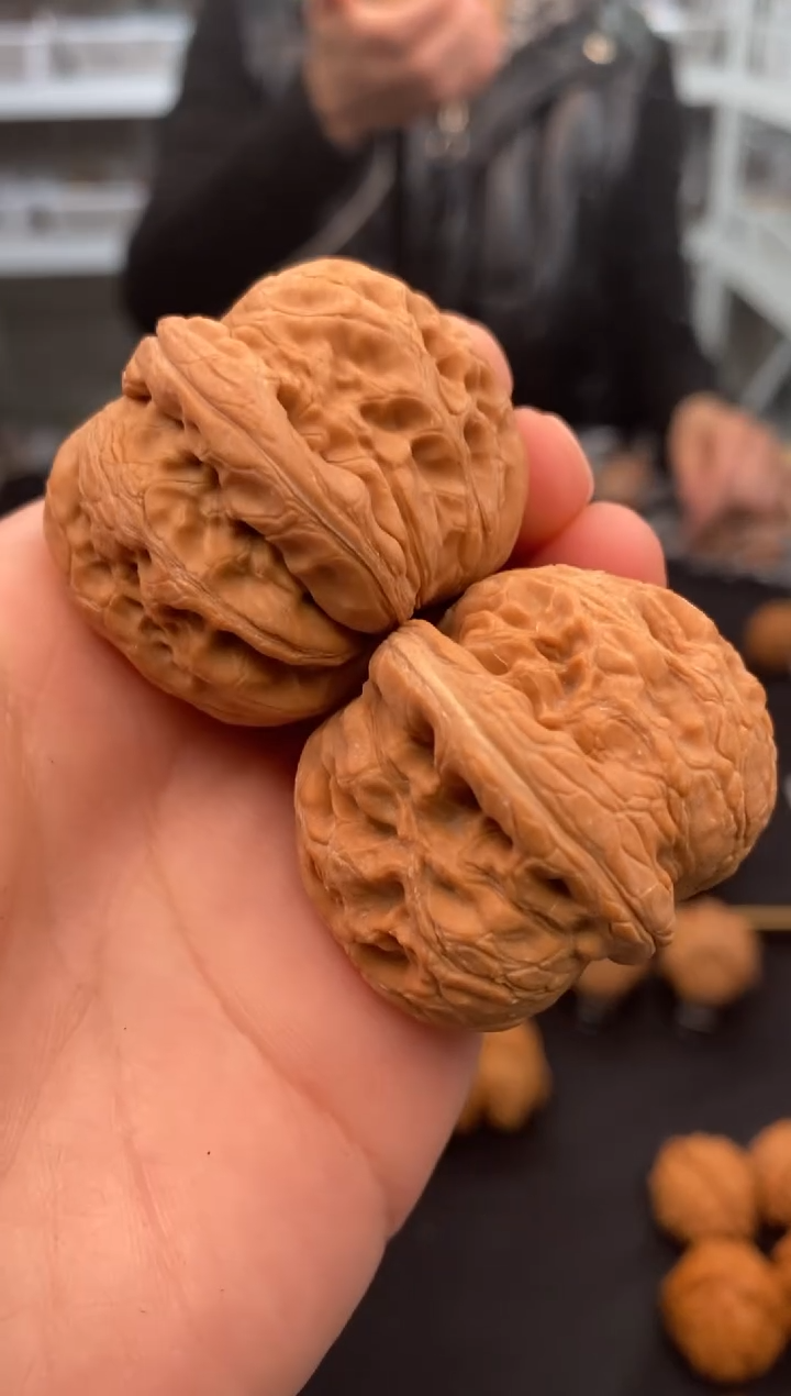 【闪购商品】文玩核桃把件元宝40-u243