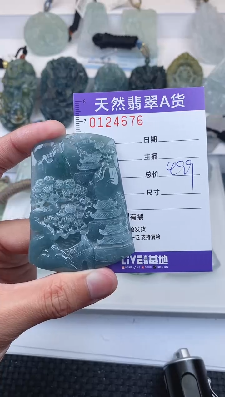 【闪购商品】翡翠颈饰未镶嵌         676