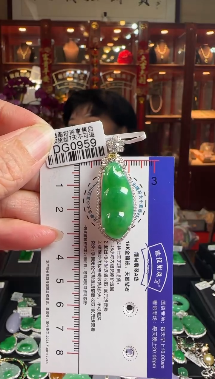 【闪购商品】翡翠颈饰18K金镶嵌DG0959冰绿豆豆