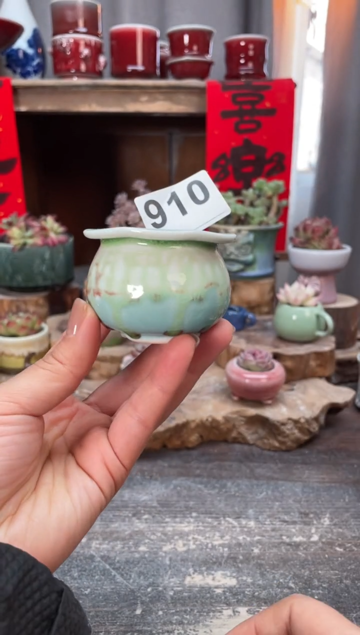 【闪购商品】摆件910知木小芳花盆