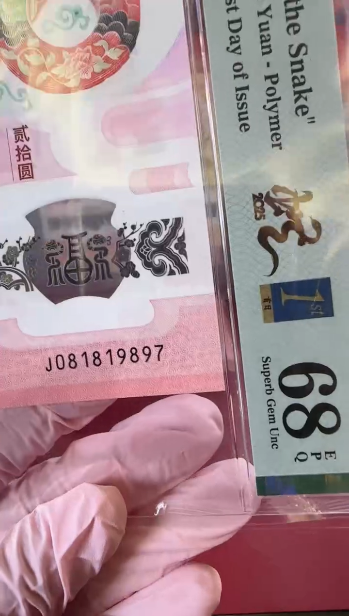 【闪购商品】塑料2025蛇钞单张裸啊啊啊啊啊