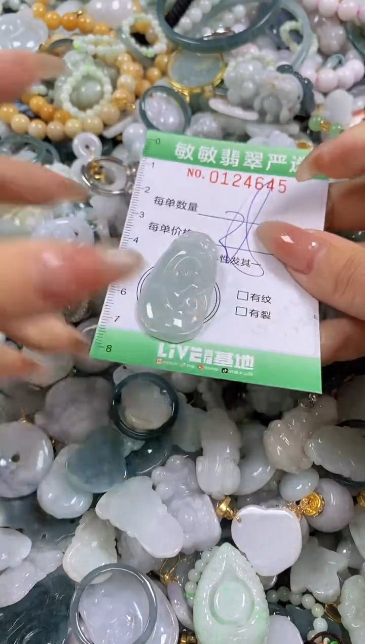 【闪购商品】翡翠颈饰未镶嵌闪购0124645