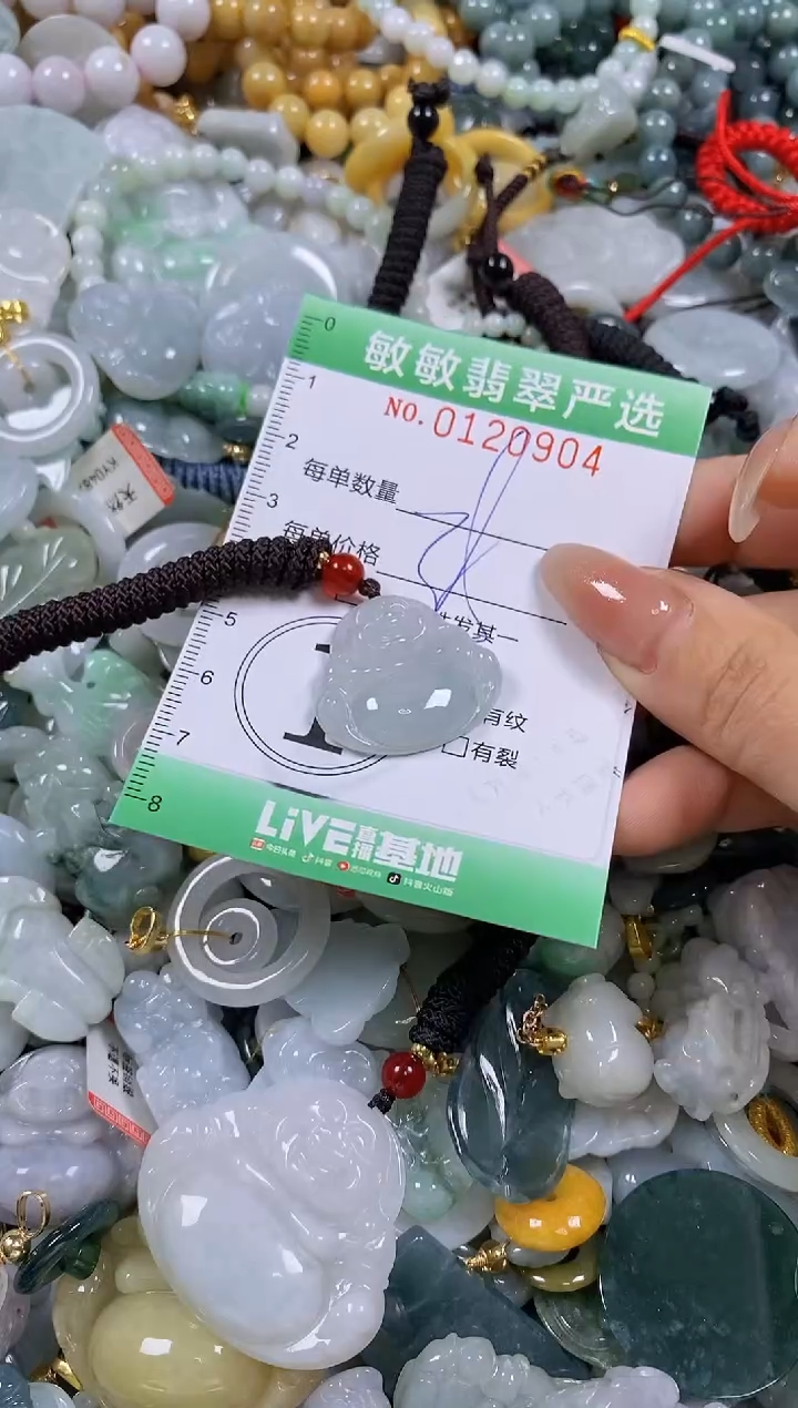 【闪购商品】翡翠颈饰未镶嵌闪购0120904