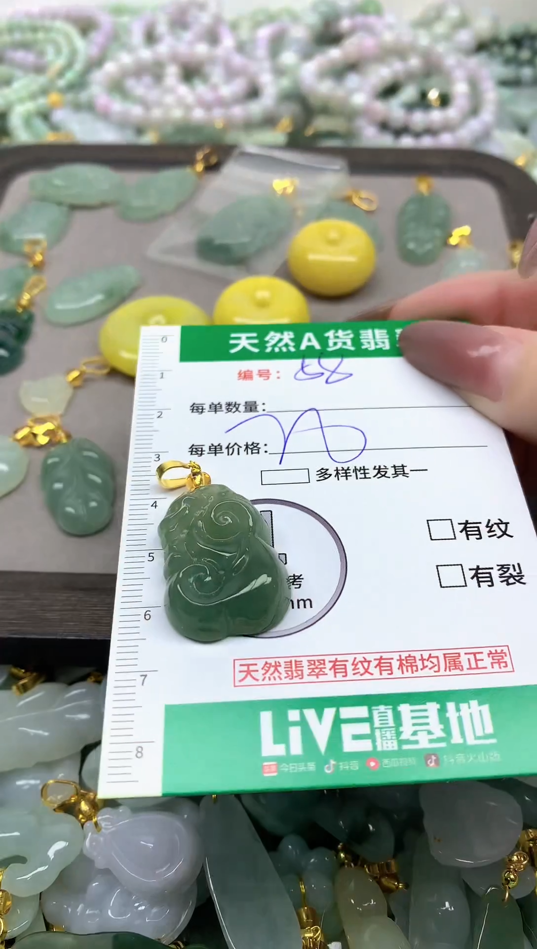 颈饰未镶嵌翡翠纯天然缅甸A货翡翠-58