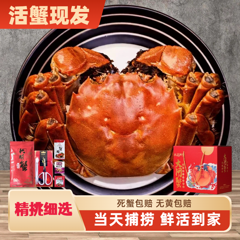 【活蟹】苏州精品大闸蟹公5.7-5.5两+母4.7-4.5两6/8只鲜活秋觅阳澄