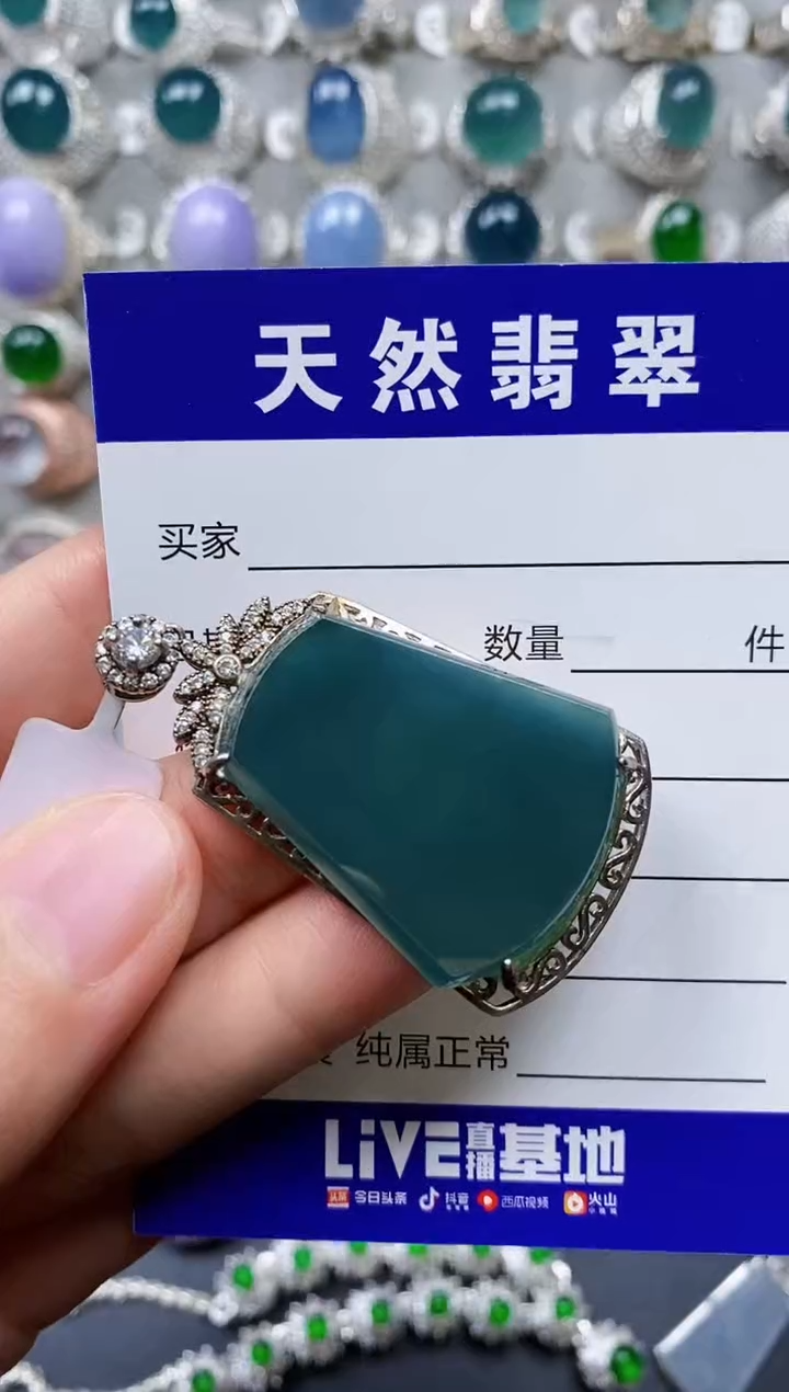 【闪购商品】翡翠颈饰银S925镶嵌0370