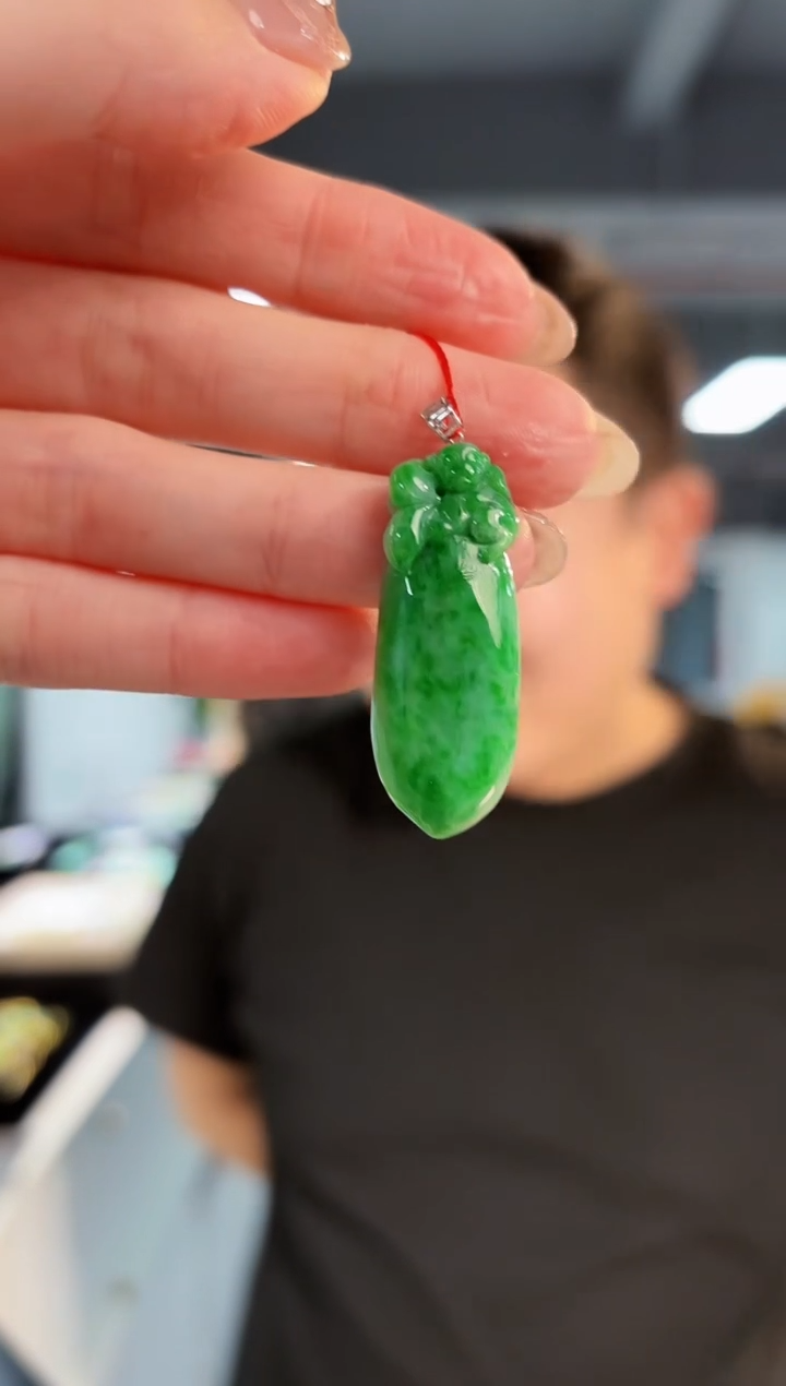 【闪购商品】翡翠颈饰18K金镶嵌缅料A货/支持复检/一件