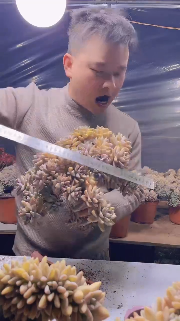 【闪购商品】缀化121