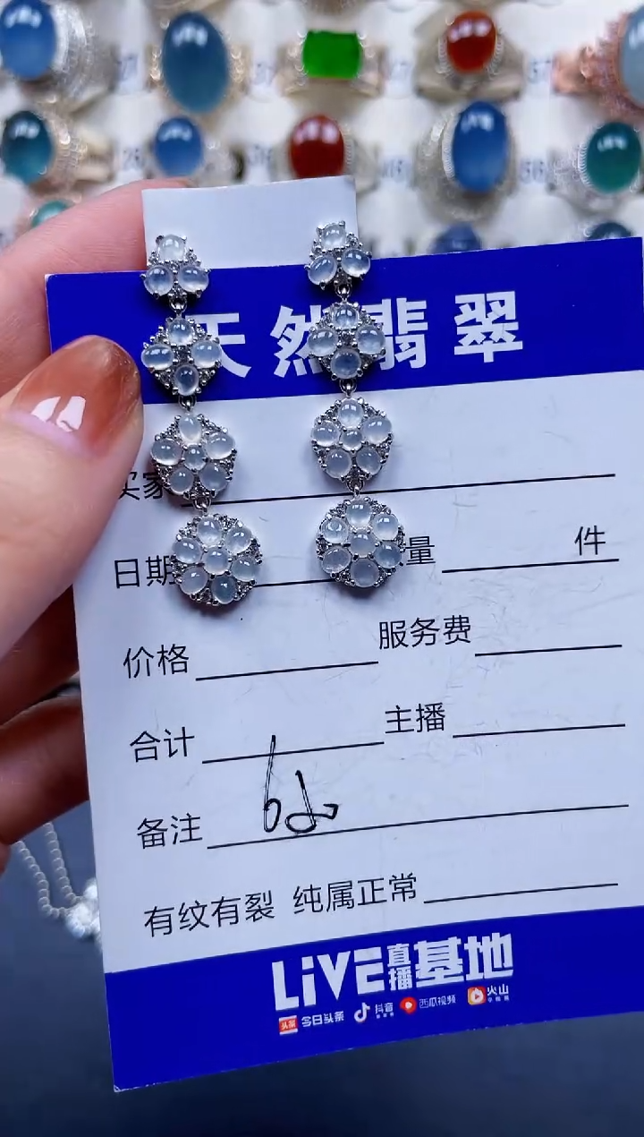 银S925镶嵌翡翠耳饰650