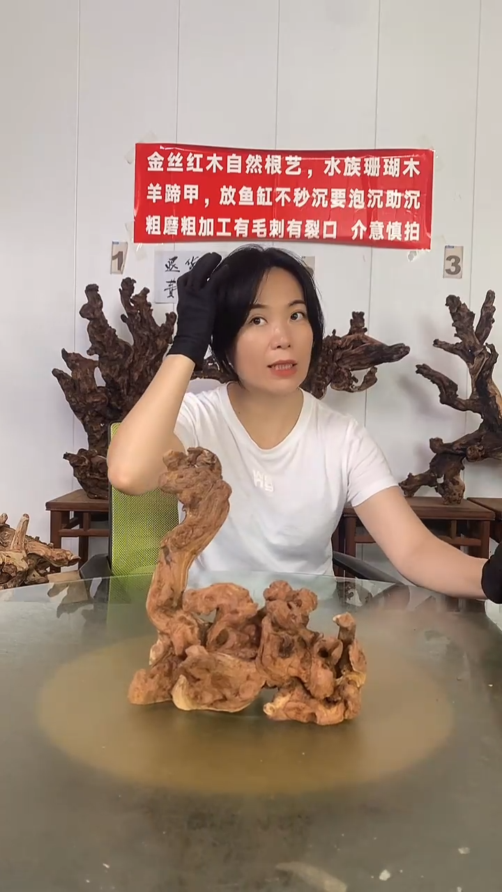 香榧木涅****！金丝红木   羊蹄甲