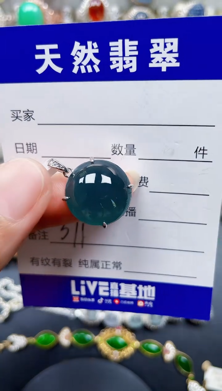 颈饰银S925镶嵌翡翠371
