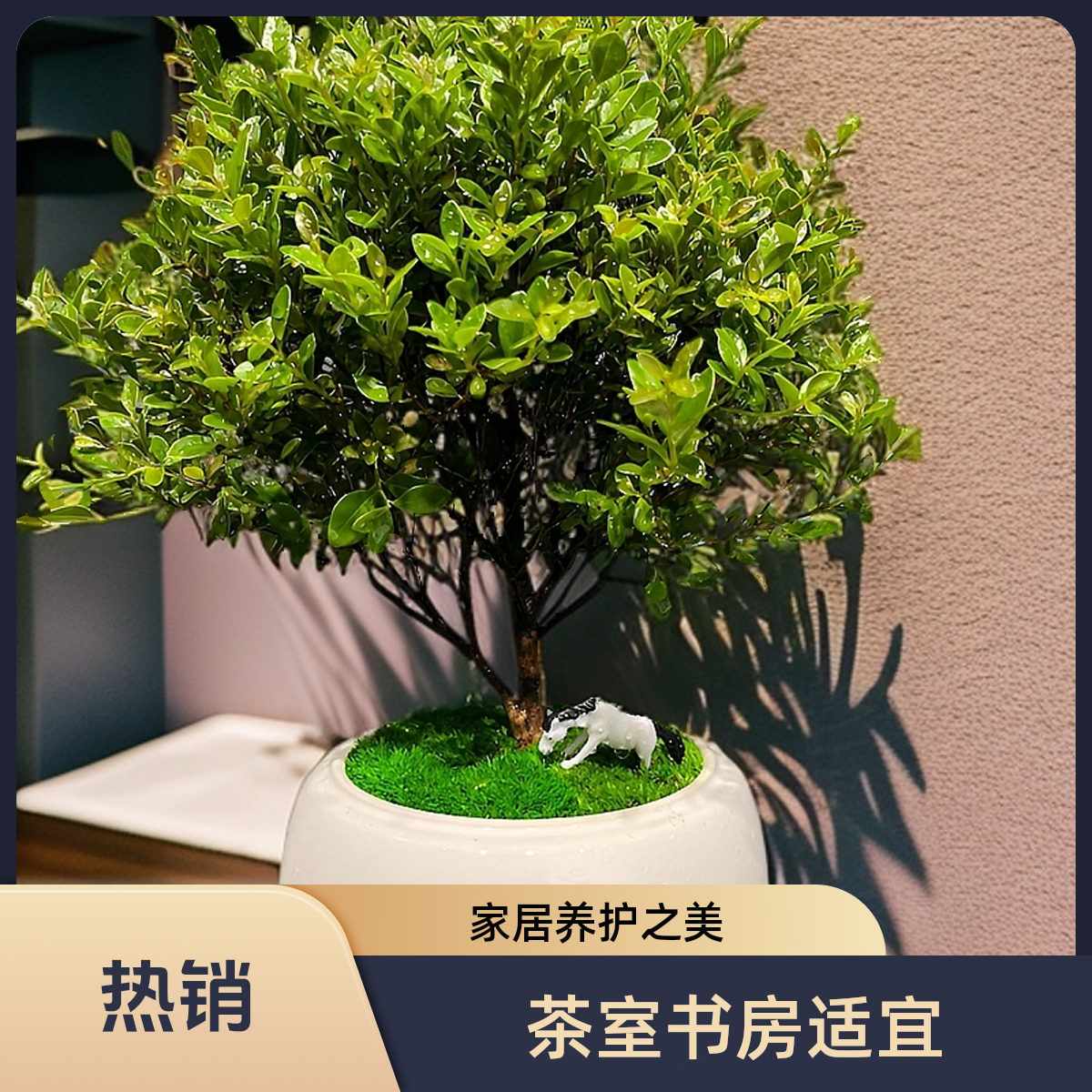 小叶赤楠禅意文人空间盆栽茶室书房办公室家居养护