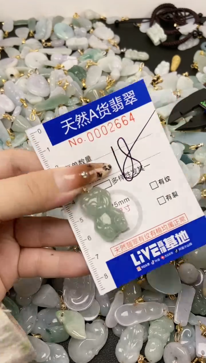 【闪购商品】翡翠颈饰未镶嵌天然A货翡翠