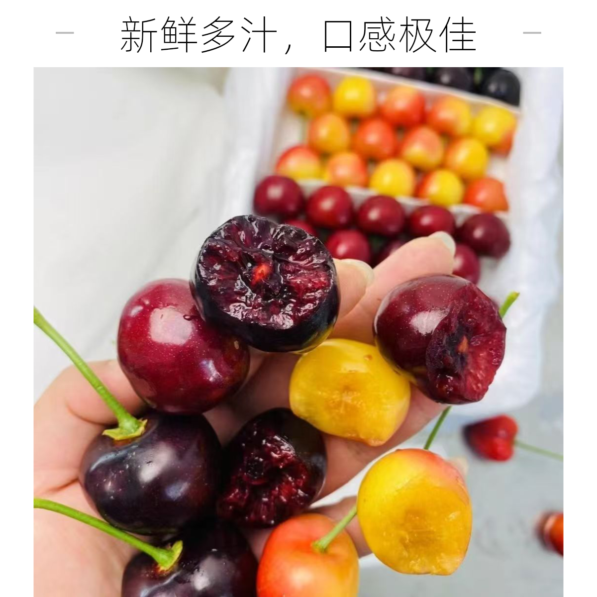 顺丰【5斤大果】大连陆地樱桃大果三种（美国红、美早、萨米脱）3斤5斤J产地发货美早樱桃，美国红樱桃，萨米脱樱桃