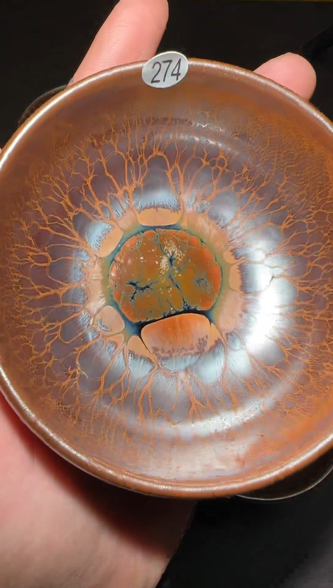 茶盏丿**姬274号黄涛火莲禅定