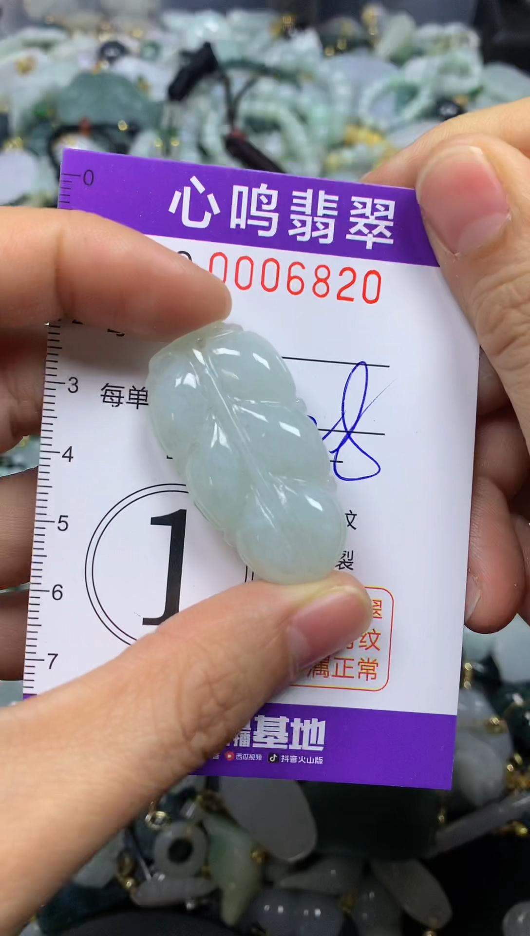 【闪购商品】翡翠颈饰未镶嵌闪购006820