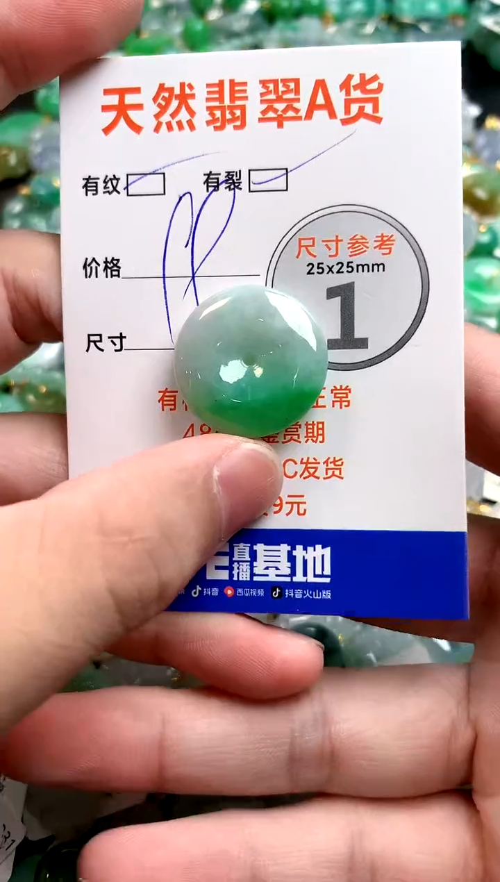 颈饰未镶嵌翡翠25100074