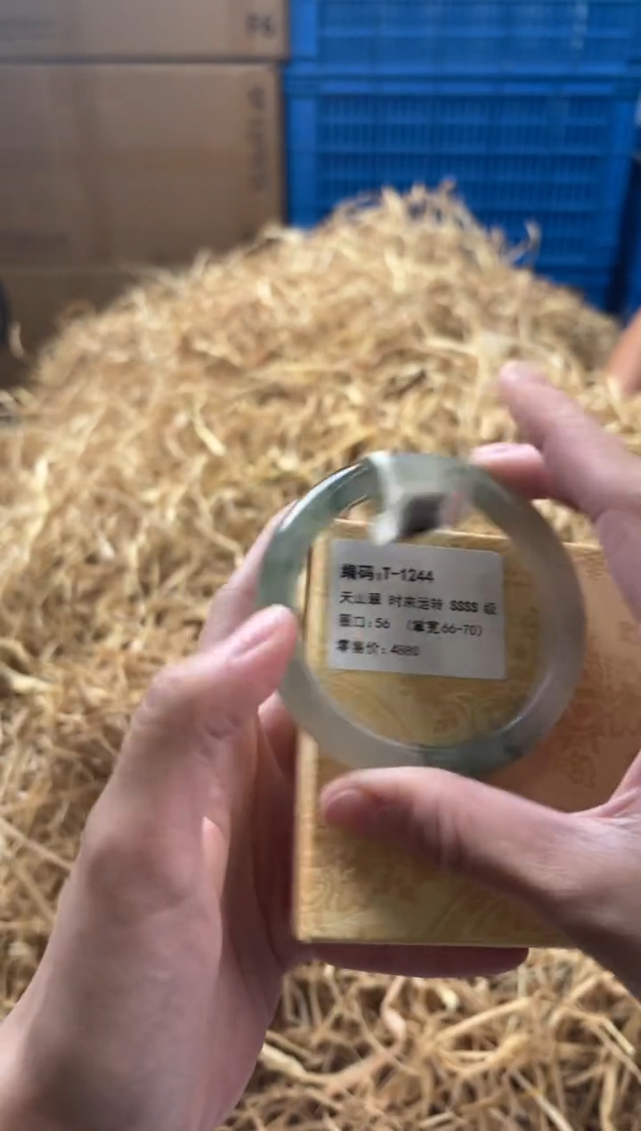 未镶嵌手镯石英质玉T-1244