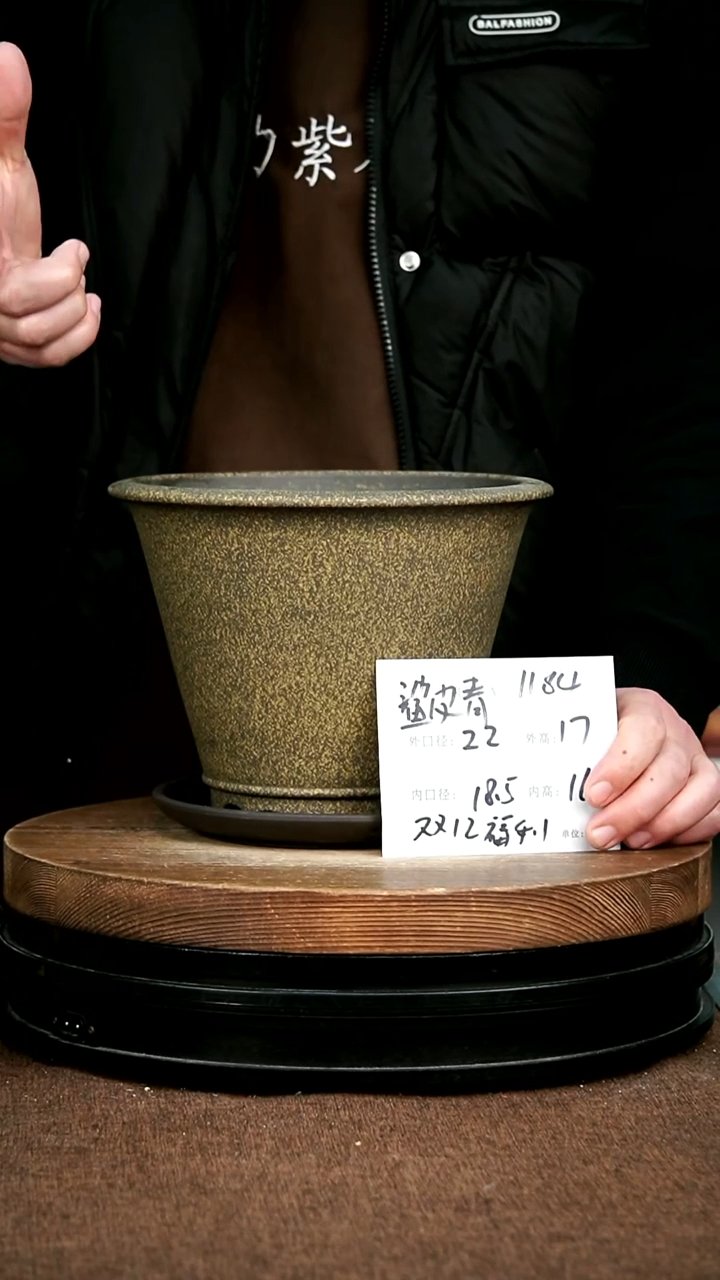 紫砂花盆花卉园艺1184+S