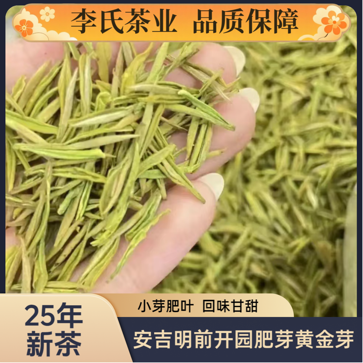 【福利款】2025年小芽头明前高山黄金芽茶中优品茶叶送礼佳品