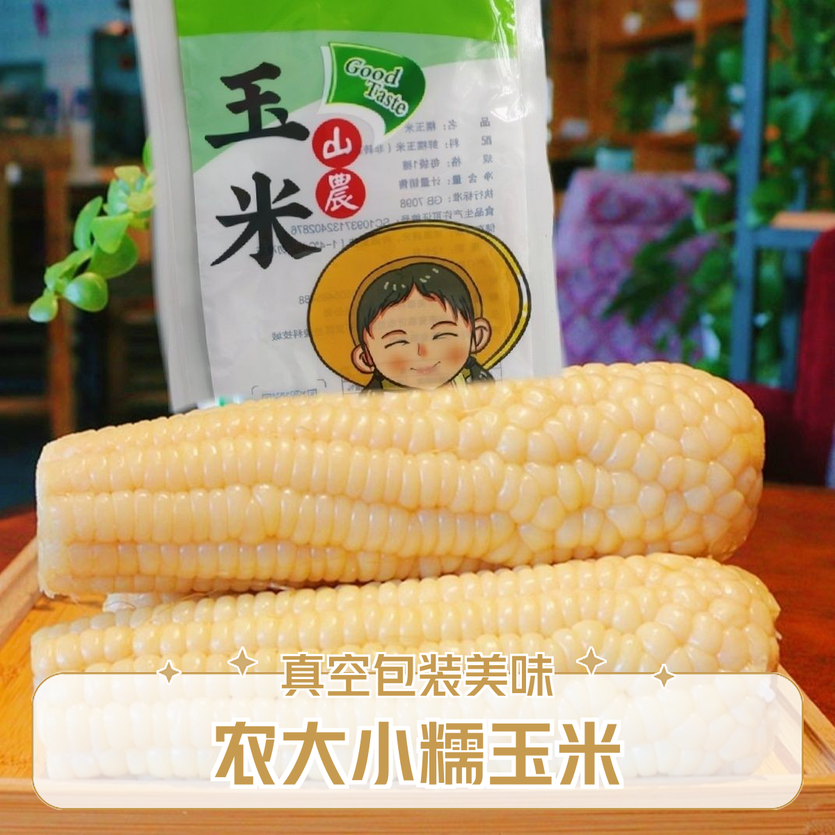 农大小糯香糯玉米真空包装10根营养食用非转基因