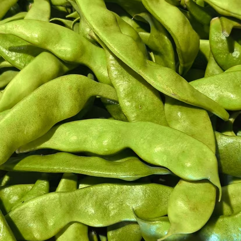 东北油豆角新鲜净重5斤包邮