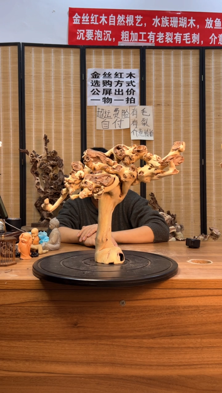 【闪购商品】木云南红河金丝红503