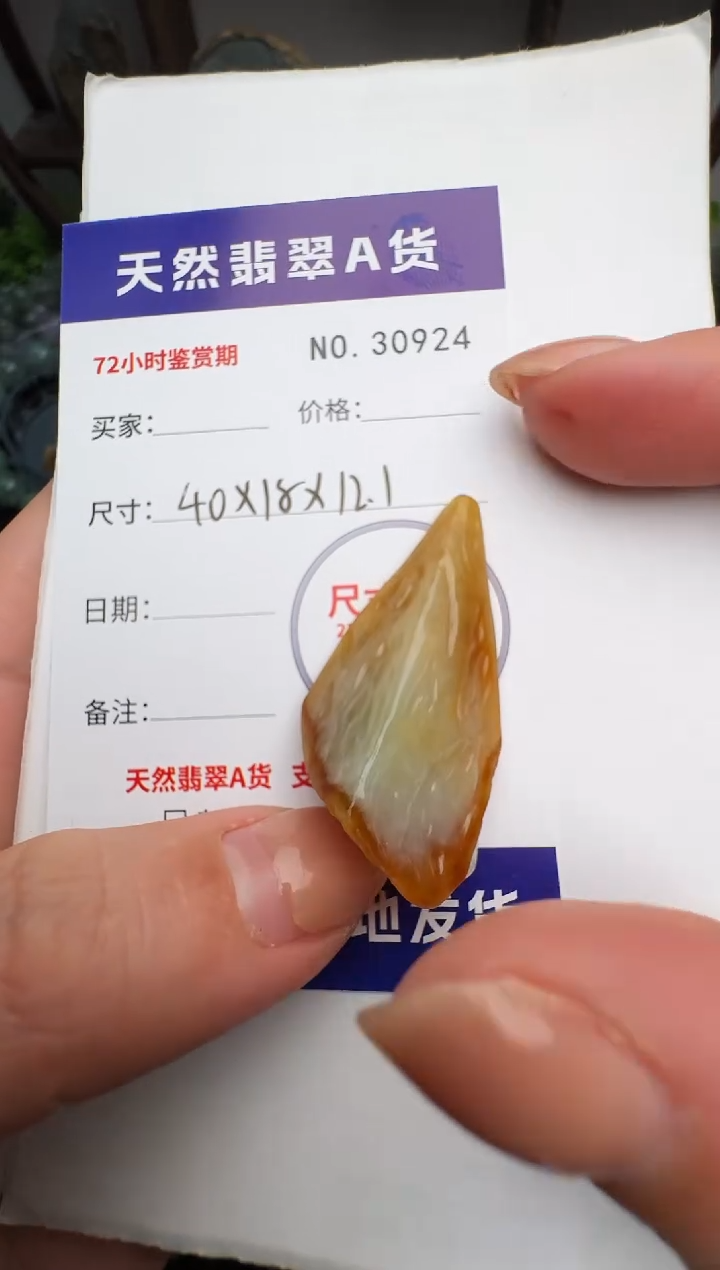 颈饰未镶嵌翡翠原石30924