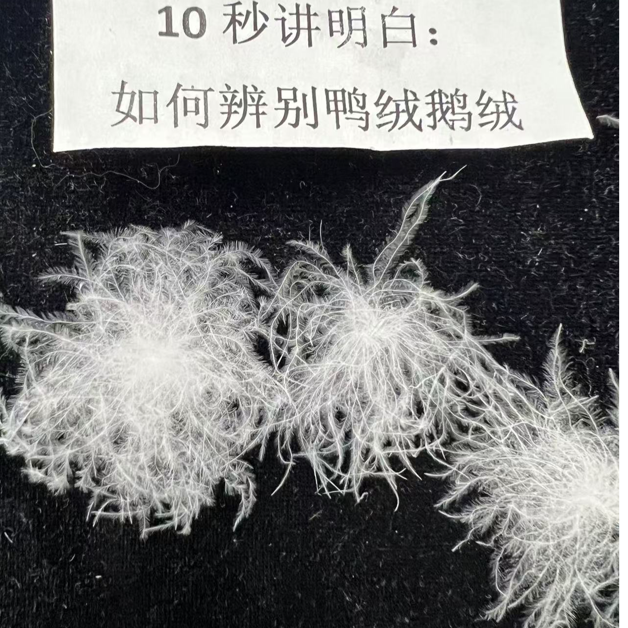 【散装白鸭绒】95%清水老鸭绒精选吊吊绒90鸭填充羽绒被羽绒服-制品