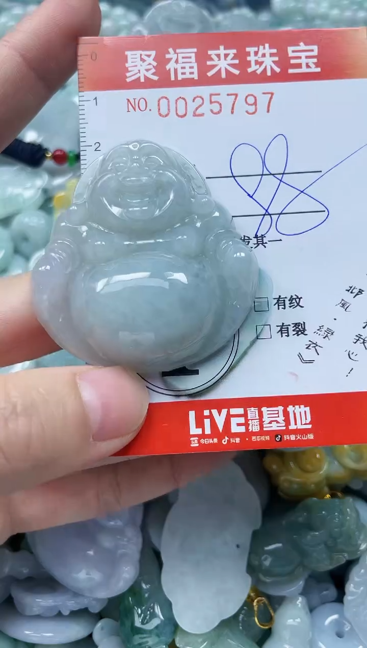 【闪购商品】翡翠颈饰未镶嵌闪购0025797