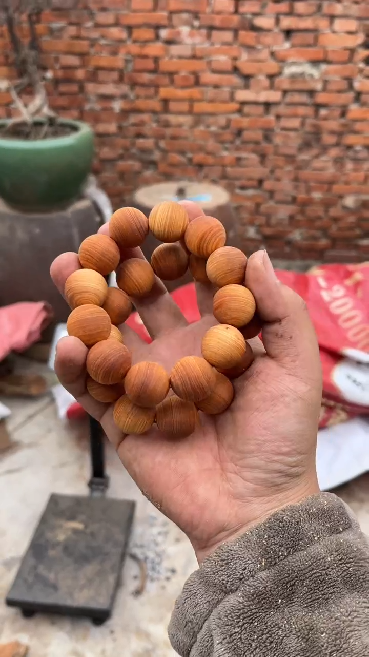 柏木（崖柏）南太行2.0毛串