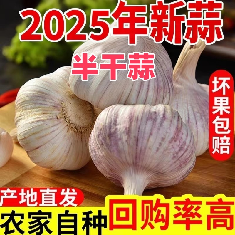 半干蒜2025年新鲜晒半干大蒜白紫皮蒜头蒜瓣半干大果五斤