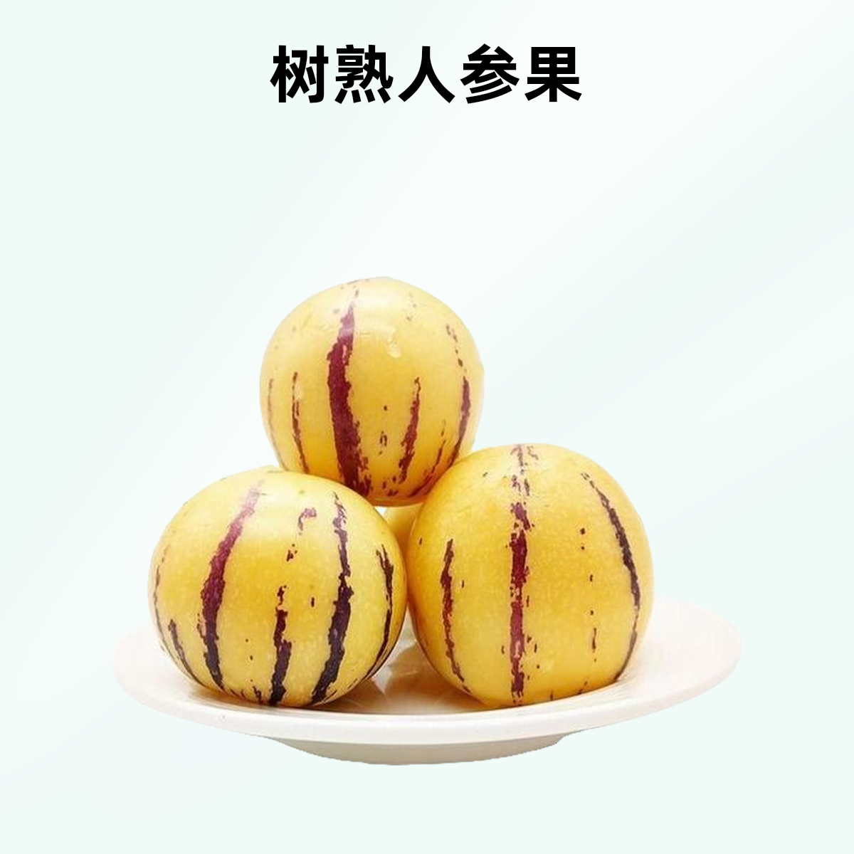新鲜树熟人参果大果12.8一斤