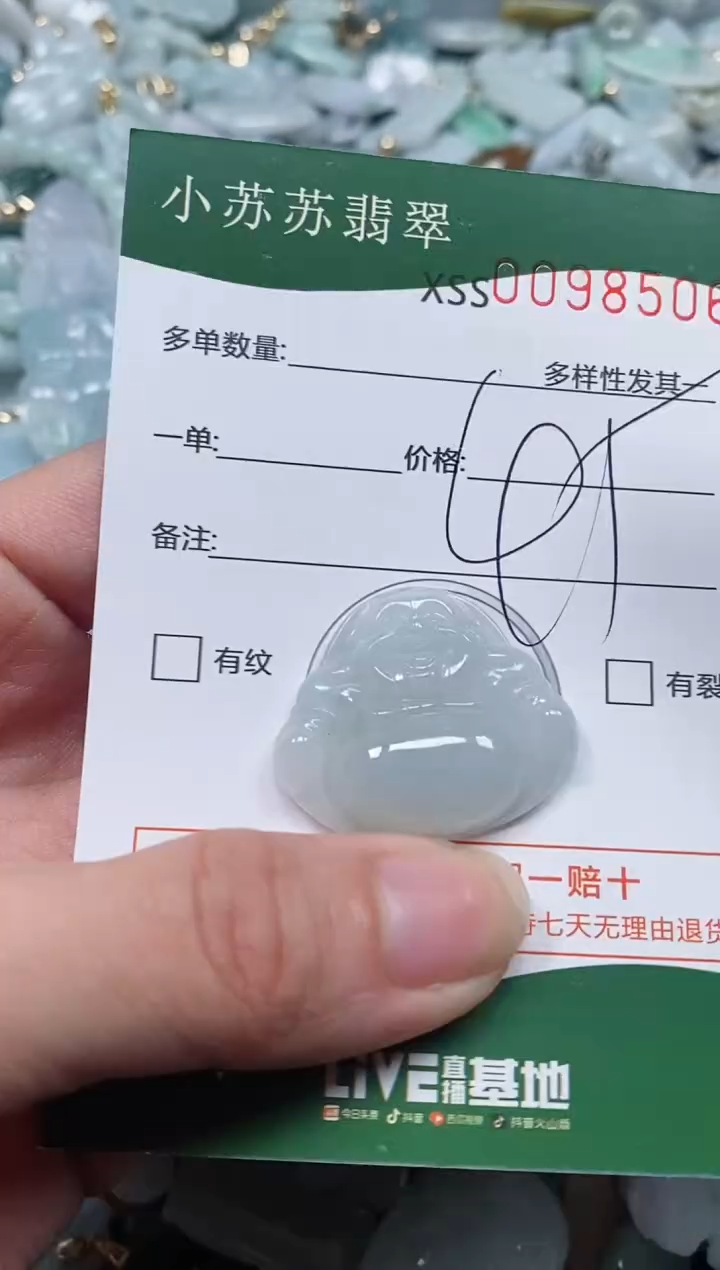 【闪购商品】翡翠颈饰未镶嵌闪购商品0098506