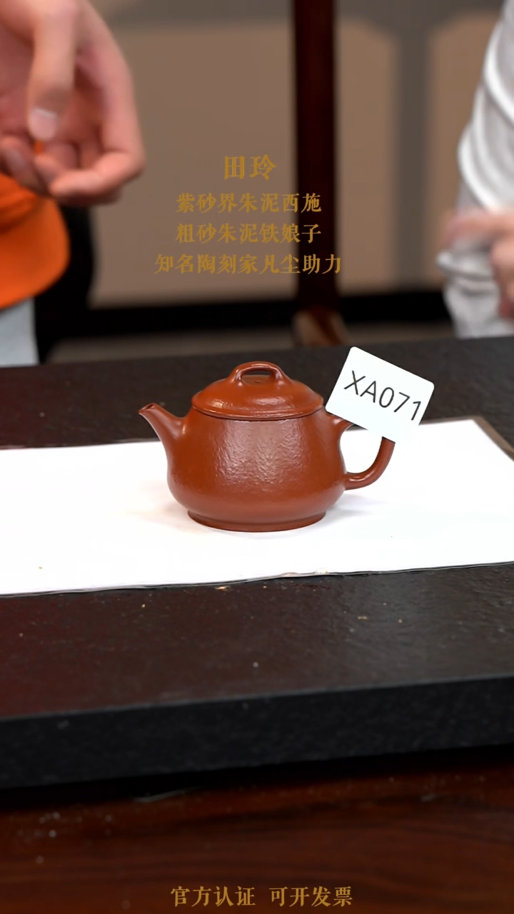 【闪购商品】紫砂茶壶XA071-0114LT