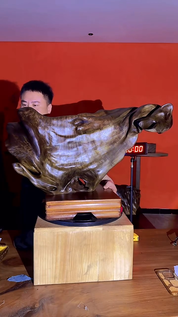 金丝楠星*小叶桢楠金丝楠木