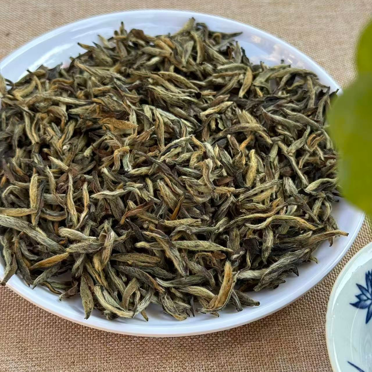 福鼎陈年白毫银针干仓存放 12月17