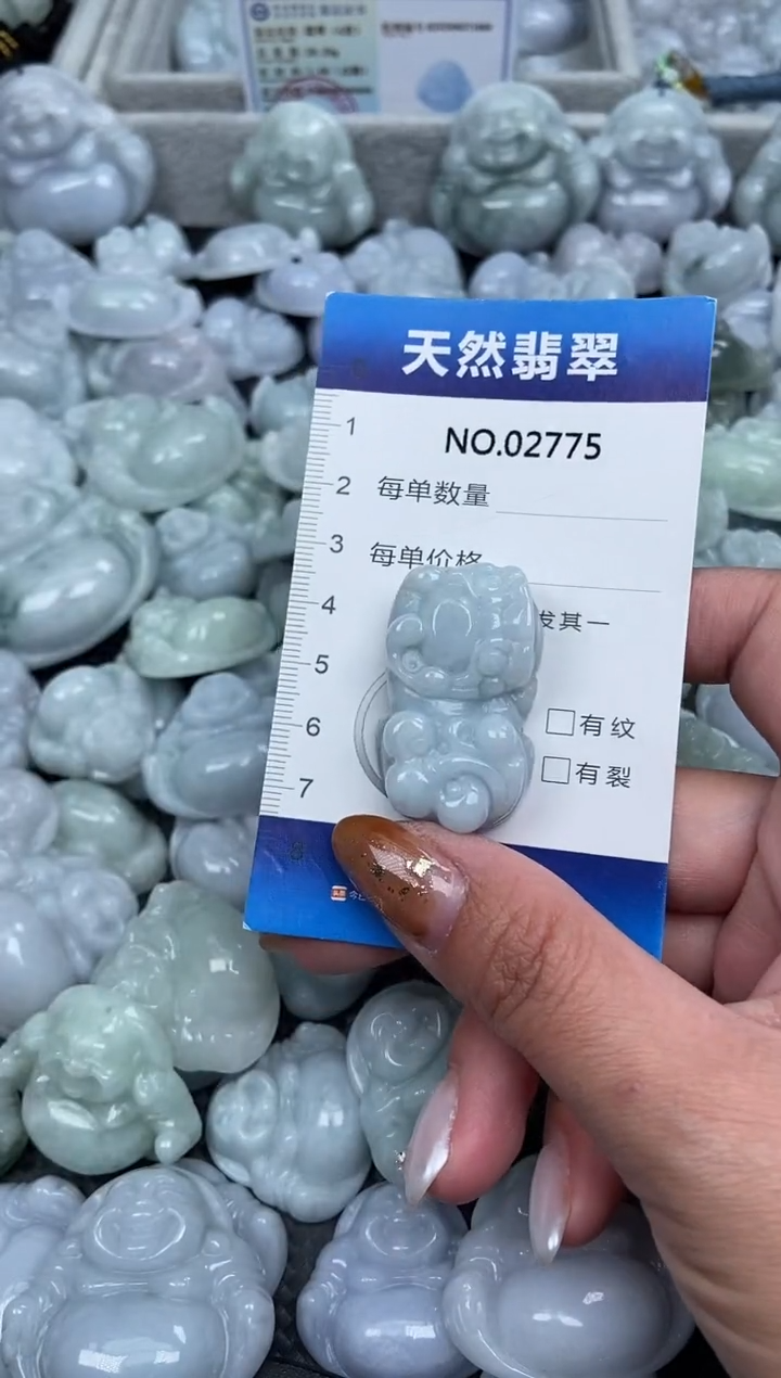 颈饰未镶嵌翡翠纯天然A货翡翠2775