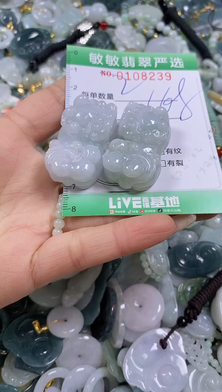 【闪购商品】翡翠颈饰未镶嵌闪购0108239