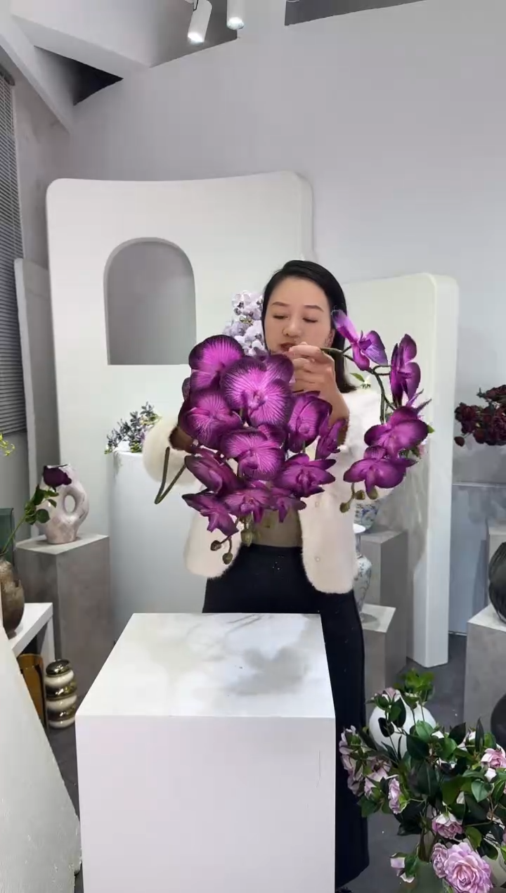 【闪购商品】藤4支玫紫蝴蝶兰