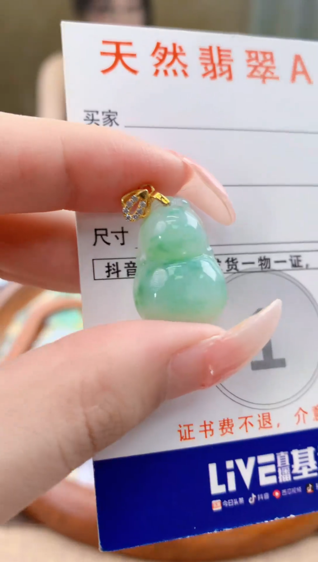 颈饰未镶嵌翡翠天然A货翡翠挂件