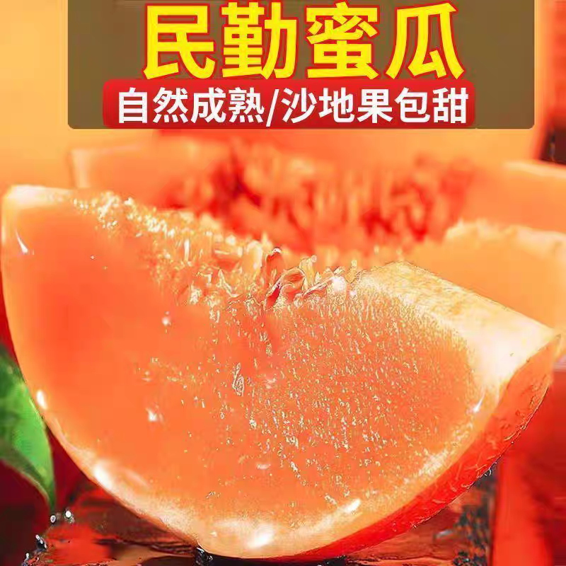 甘肃民勤沙漠金蜜瓜脆甜多汁产地现摘现发包邮